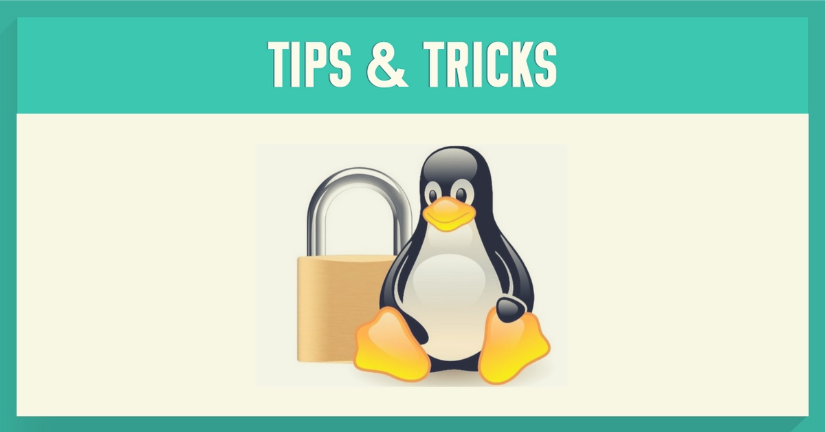 5 Linux Distributions for Privacy and Security